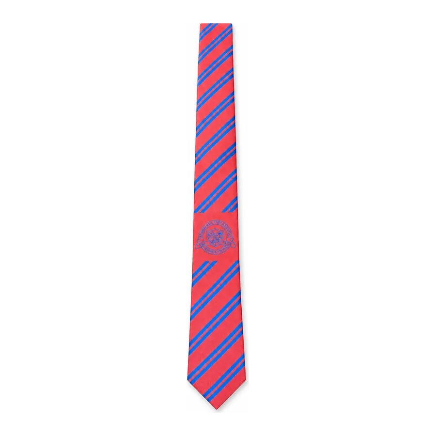 Pink and royal blue striped tie made by J&J United